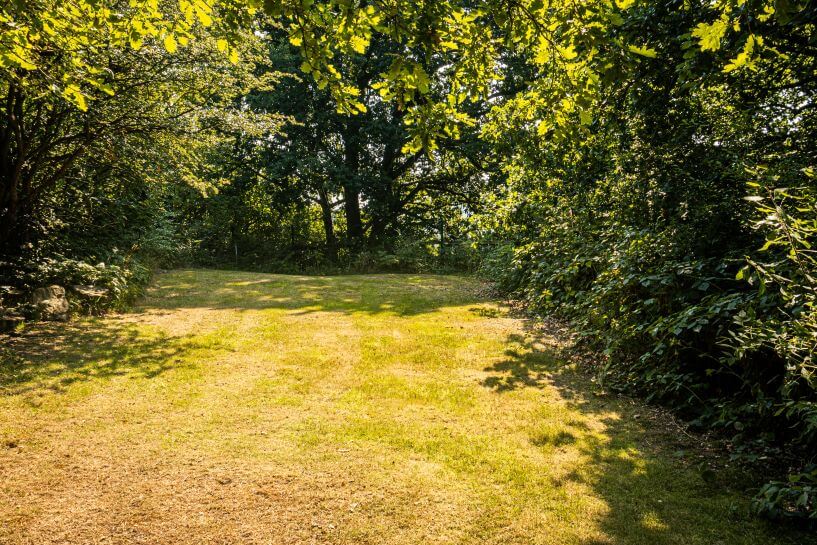 Culy Hill Back of Beyond Campsite