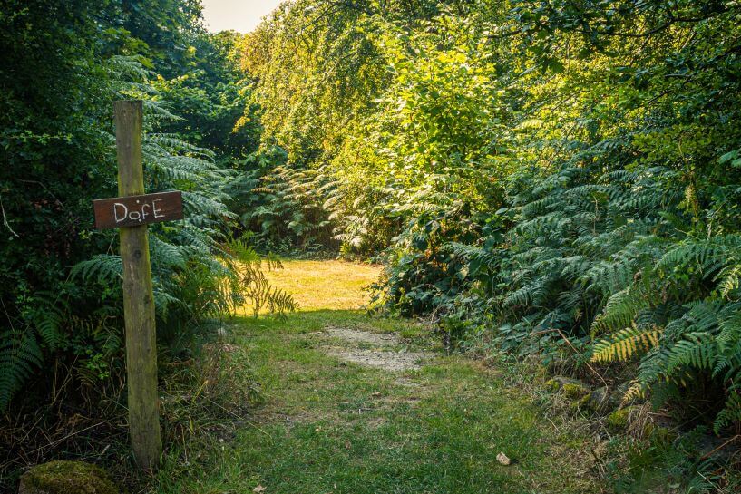 Culy Hill DOFE Site